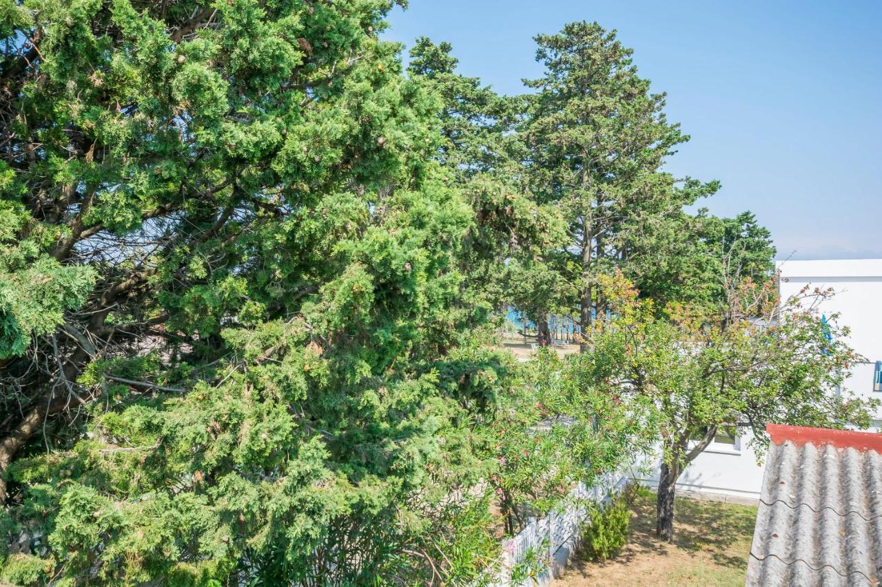Apartments Mira بريفلاكا المظهر الخارجي الصورة